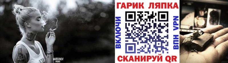 цена наркотик  Дятьково  ГАШИШ Изолятор 