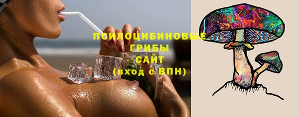 PSILOCYBIN Алзамай