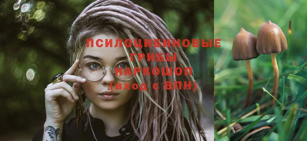 молекула духа Абаза