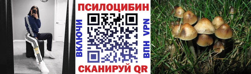 omg маркетплейс  Дятьково  Псилоцибиновые грибы Psilocybine cubensis 